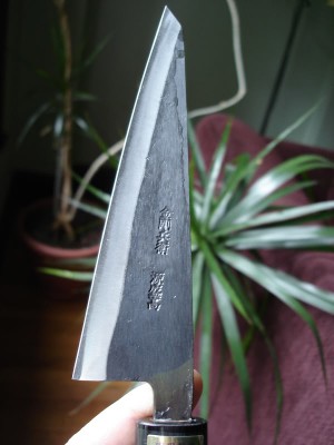 MoritakaHonesuki001.jpg