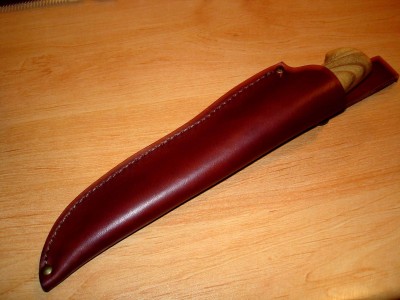 pic1.jpg