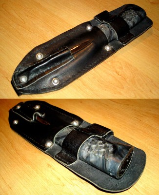 pic1.jpg