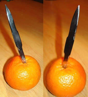 pic4.jpg