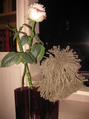 2010-10-04-06.jpg