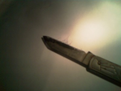 IMAG0964.jpg