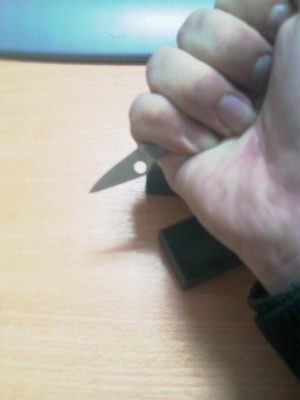 IMAG0016.jpg