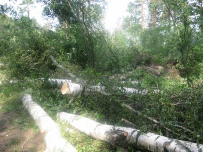 x_630d66e6.jpg