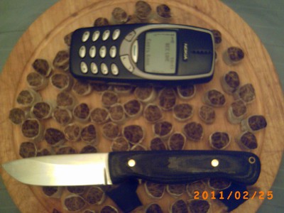 PICT0040.jpg