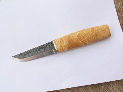 4090066.jpg