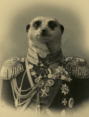 tumblr_l1ffbjsxoP1qa24l0o1_400.jpg