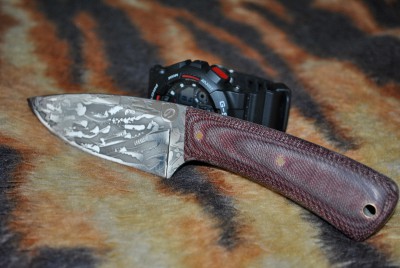 DSC_3677.JPG