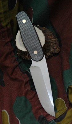 DSC_8695.JPG