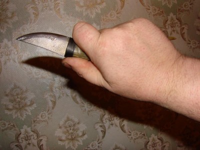 шейник3.jpg