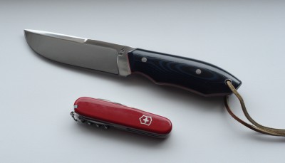 4499833.jpg