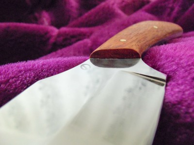 100_0054.JPG