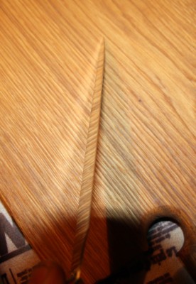 IMG_0021.JPG