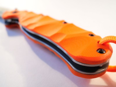 RAT+G10__012.JPG