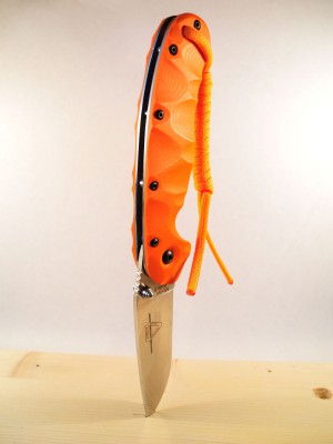 RAT+G10__003.JPG