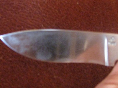 IMG_3400.jpg