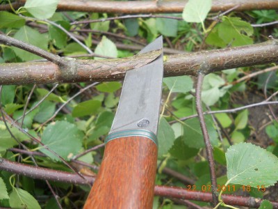 DSCN0689.JPG