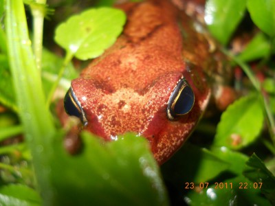 DSCN0720.JPG