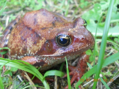 DSCN0747.JPG