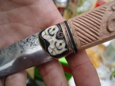 pic13.jpg