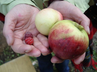pic24.jpg
