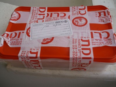 file1.jpg