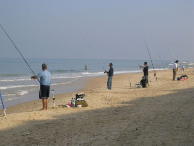 D3 002.jpg