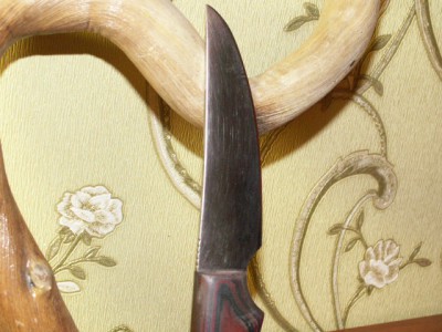 PICT0336.JPG