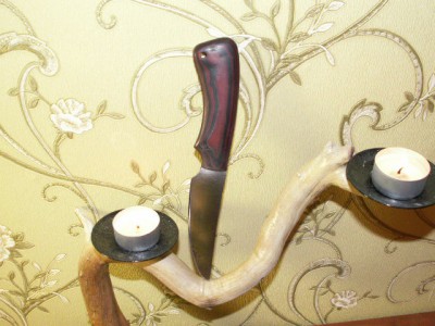 PICT0339.JPG