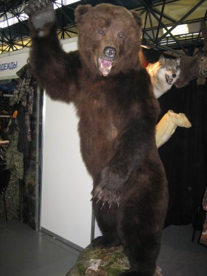 2.JPG