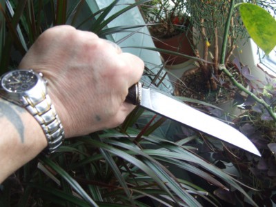 DSCF1679.JPG