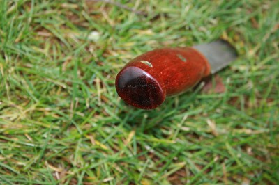 IMG_6615.JPG