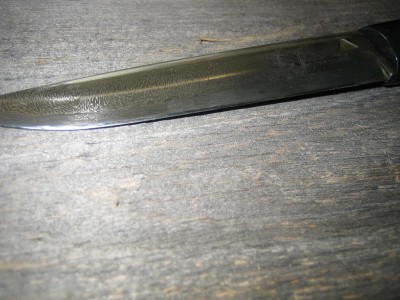 IMG_0788.jpg