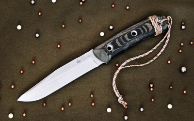 2185c.jpg