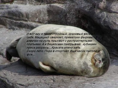 ebd207ca9c51eabd451bfa44617d6a88.jpg