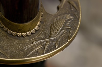 _SAS0245.jpg