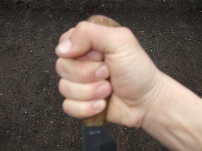 z8.jpg