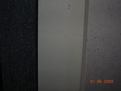 DSCN1313.JPG