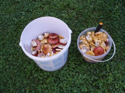 drusk 08 010.jpg